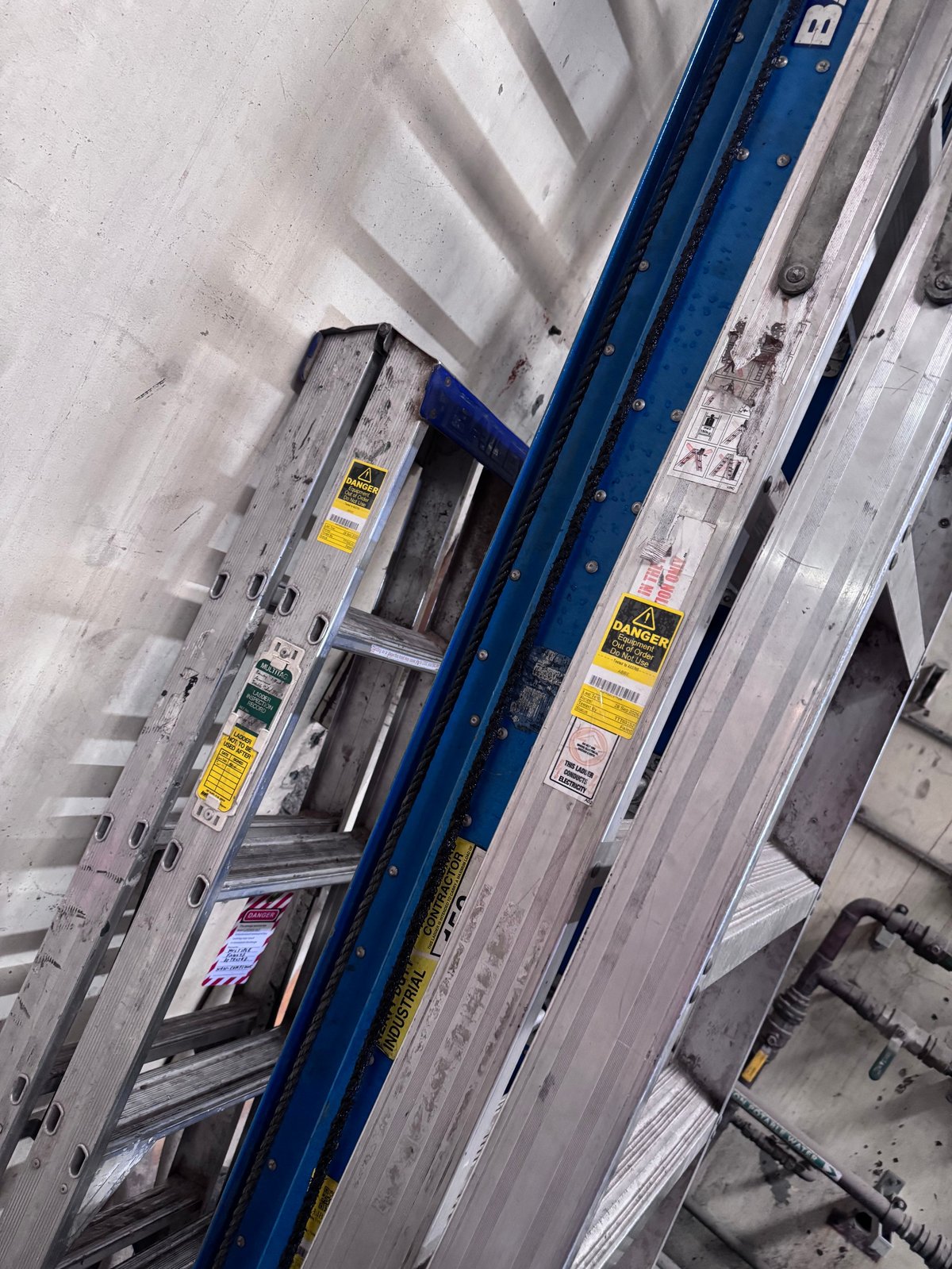 Multiple aluminum ladders stored vertically against a white concrete wall, including a prominent blue ladder with safety labels