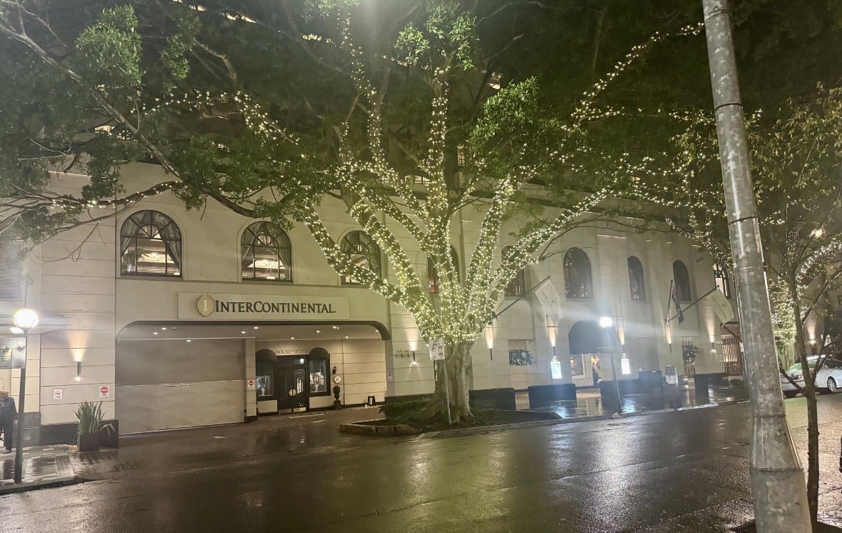 Wet street at night with InterContinental hotel facade, illuminated trees, and ivy-covered building entrance